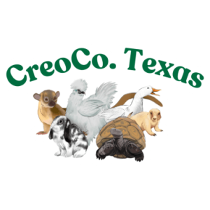 CreaCo. Texas & Animals Sticker