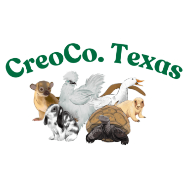CreaCo. Texas & Animals Sticker