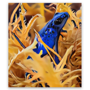 Poison Dart Frog Sticker