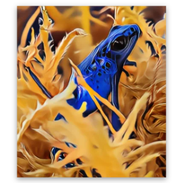 Poison Dart Frog Sticker