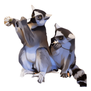 Ringtail Lemur Sticker