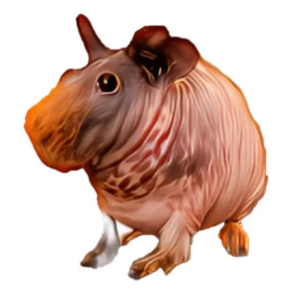 Brown and Pink Skinny Pig