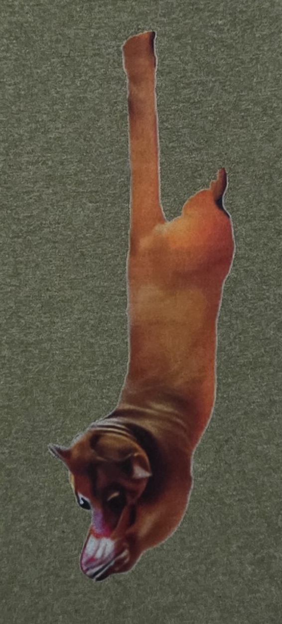 Kinkajou Shirt - Image 3