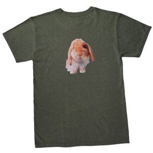 Rabbit Shirt