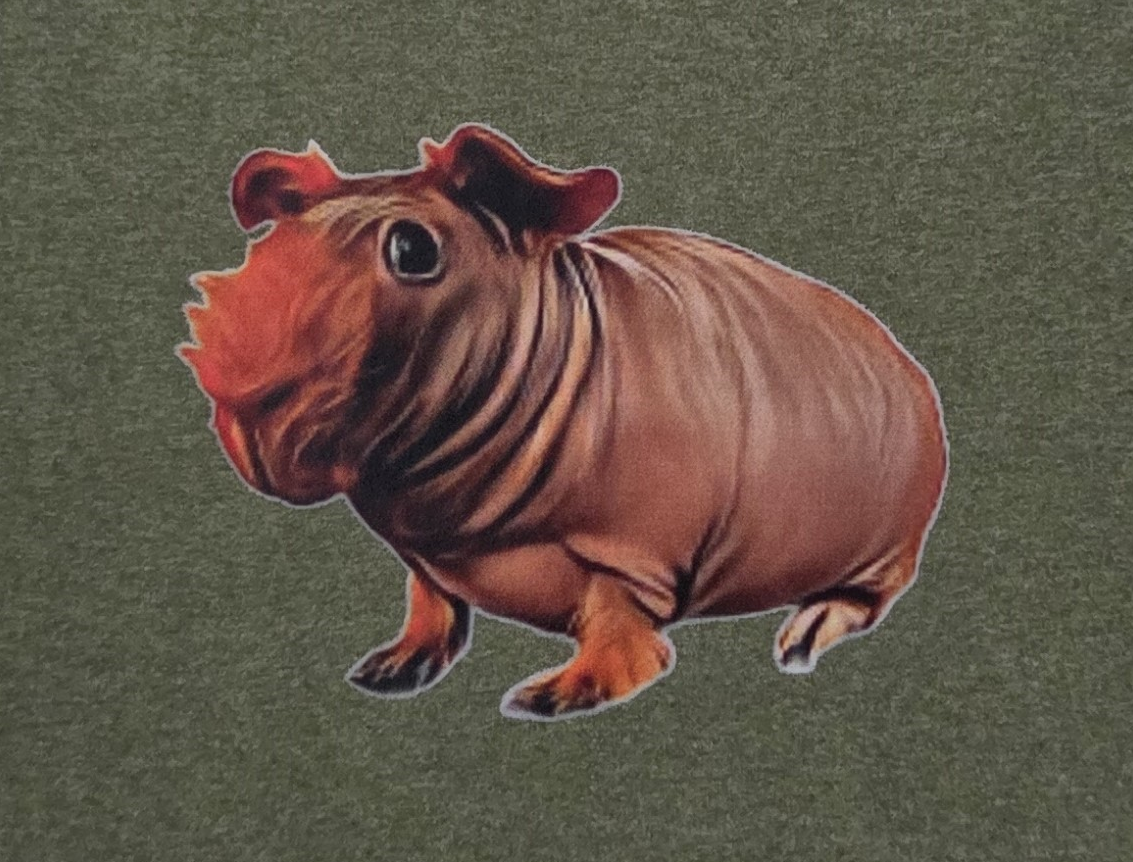 Gray Skuinea Shirt - Image 3