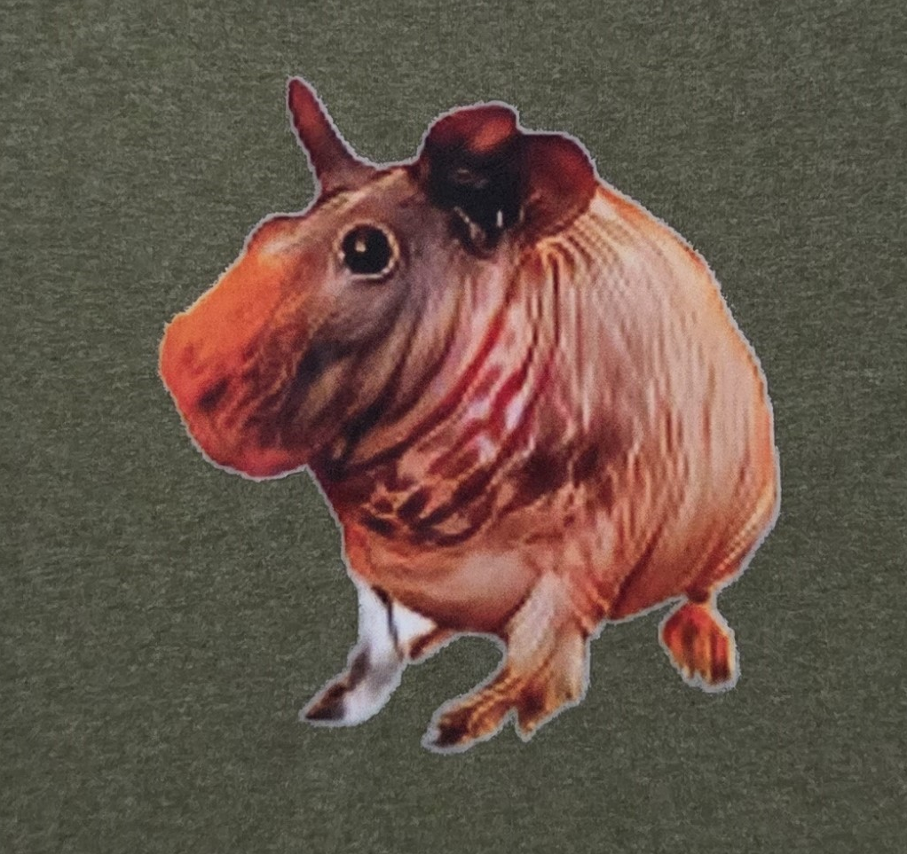 Skuinea Shirt - Image 3