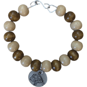 Tortoise Charm Bracelet